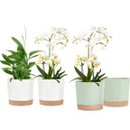 Indoor Plastic Planters with Drainage Holes and Saucer