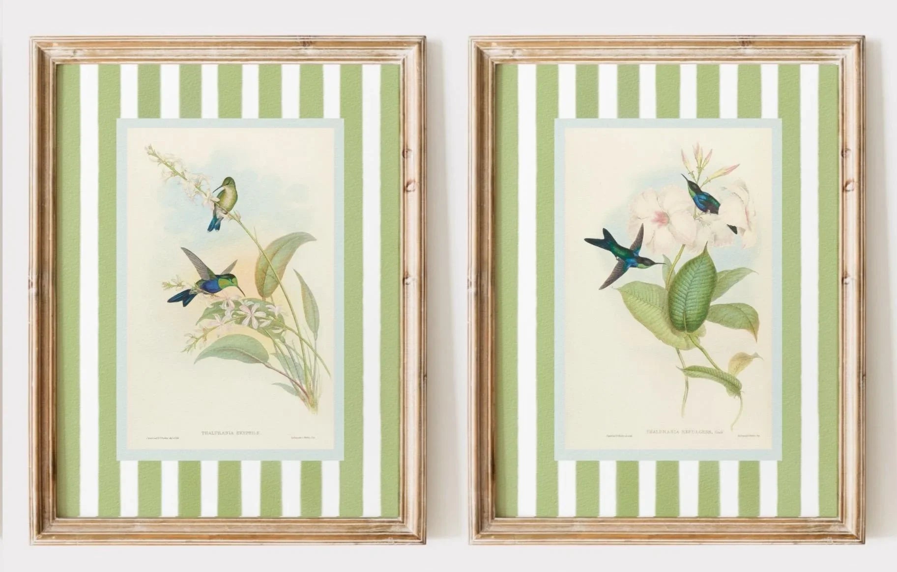 Retro Hummingbird Canvas Prints for Home Decor